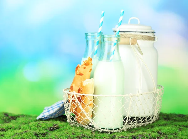 Välsmakande rustika mjölk — Stockfoto