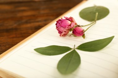 bitkiler dizüstü Kapa çeneni