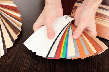 mobilya için renk paleti