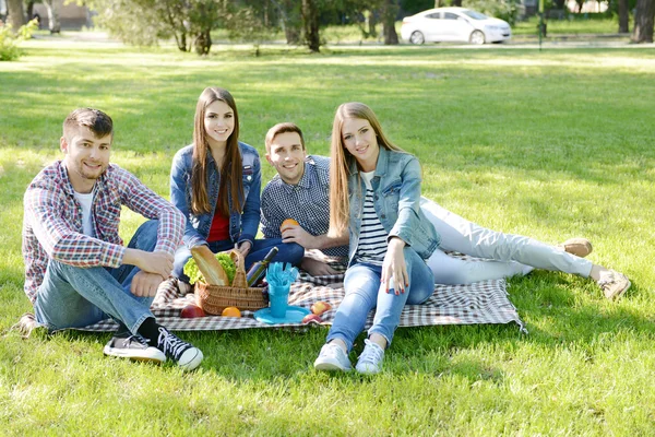 Glada vänner på picknick — Stockfoto