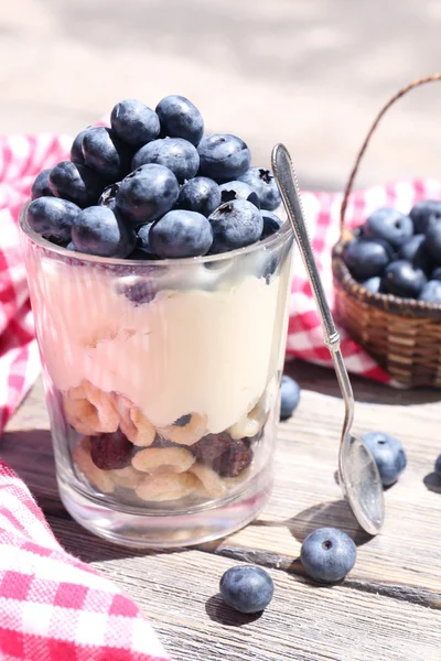 Yoghurt met verse bosbessen — Stockfoto