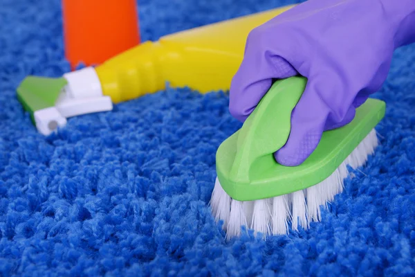 Cleaning carpet — Stock Photo, Image