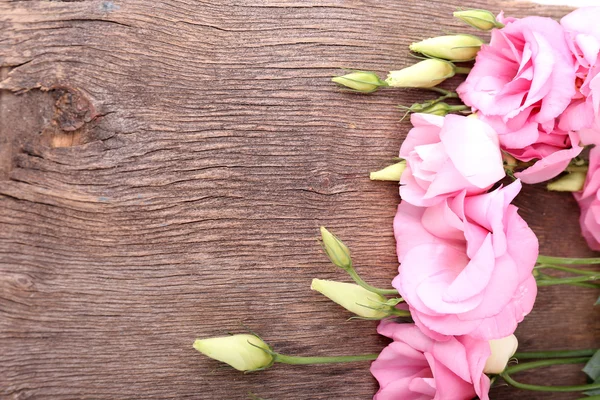 Beautiful eustoma flowers — Stock Photo, Image