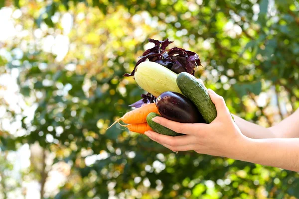 Washing vegetables, outdoors — Stock Photo, Image