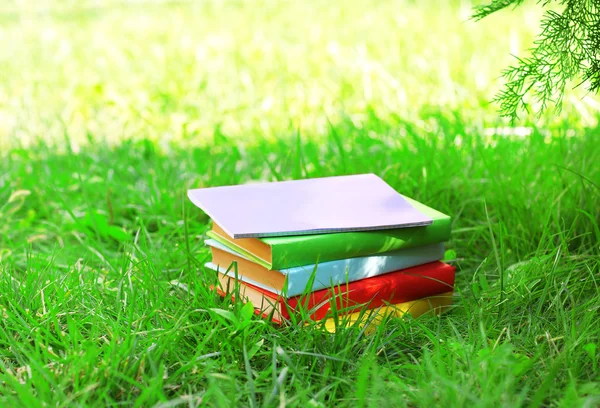 Staplade böcker i gräs — Stockfoto