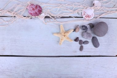 Dekor kabukları ve deniz kıyısı