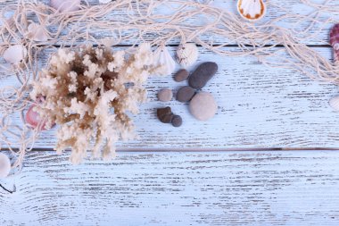 Deniz kabuklarını masada dekor