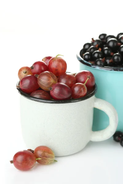 Grosellas maduras y grosellas negras en taza aislada sobre blanco . — Foto de Stock