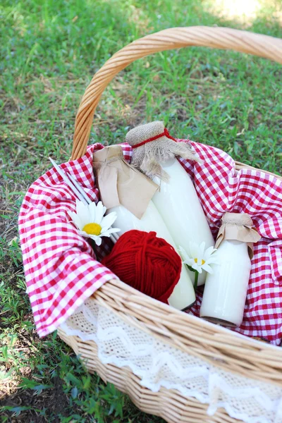 Tasty snack in basket on grassy background for spending nice weekend in a park — Stock Photo, Image