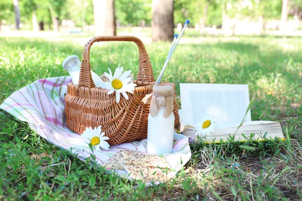 Tasty snack in basket on grassy background for spending nice weekend in a park — Stock Photo, Image