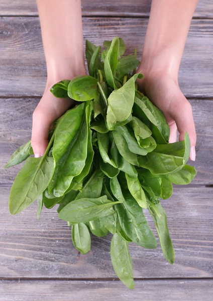 Woman holding tuft of sorrel — Stock Photo, Image