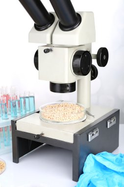 Mikrobiyolojik test için gıda kalitesi Biyokimya Laboratuvarı 