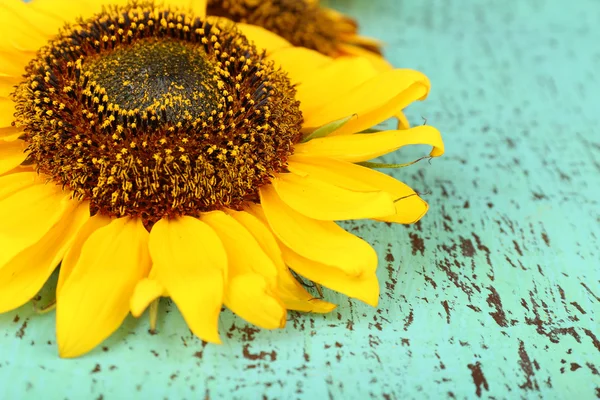 Hermosos girasoles sobre fondo de madera — Foto de Stock