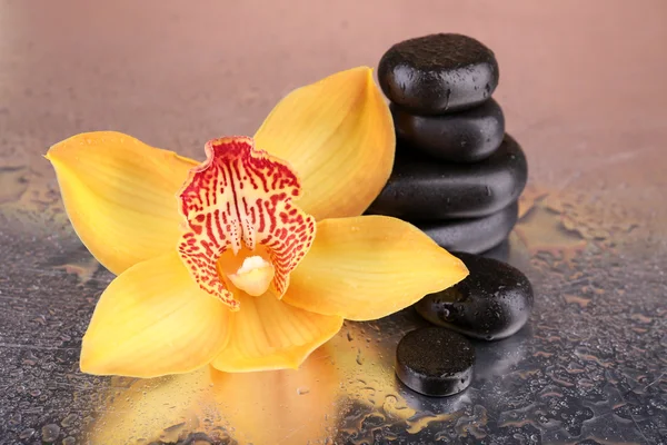 Yellow tropical orchid flower and spa stones on bright background — Stock Photo, Image