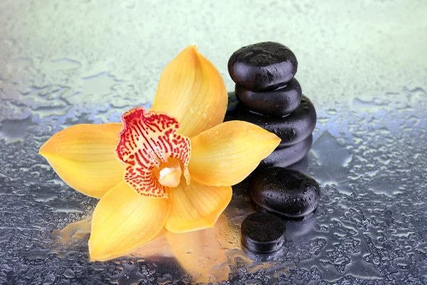 Flor de orquídea tropical amarilla y piedras de spa sobre fondo brillante — Foto de Stock