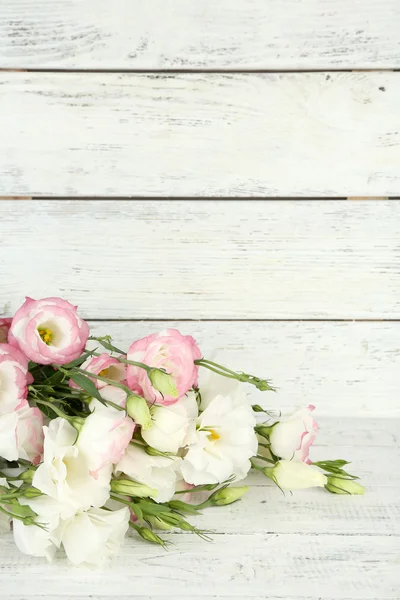 Gyönyörű eustoma virágok — Stock Fotó