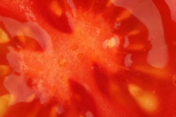 Gros plan sur la tomate — Photo
