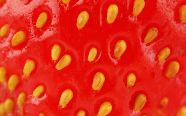 Close-up de morango — Fotografia de Stock