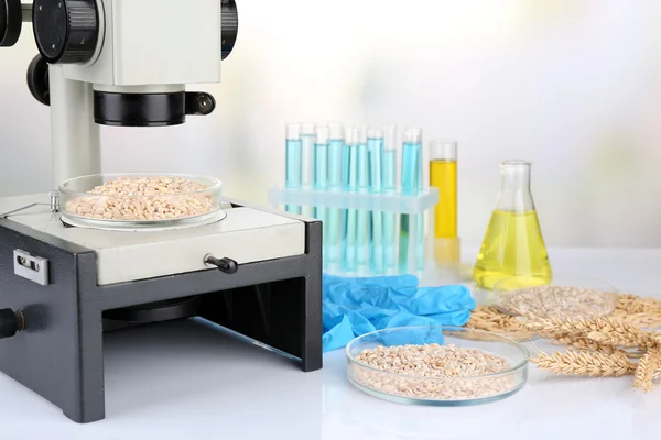 Микробиологическое тестирование качества пищевых продуктов в биотехнологической лаборатории — стоковое фото