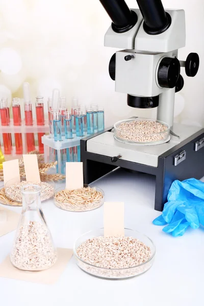 Mikrobiologische Tests auf Lebensmittelqualität — Stockfoto