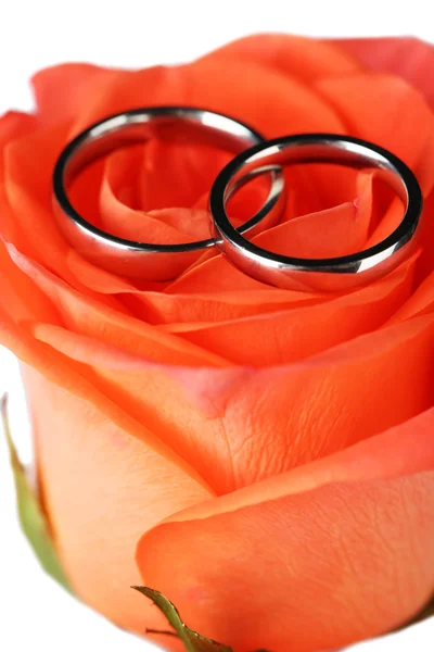 Wedding rings on wedding bouquet, close-up, on light background — Stock Photo, Image