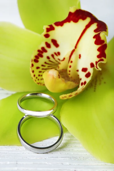 Anillos de boda y flor de orquídea, primer plano, sobre fondo de madera de color — Foto de Stock