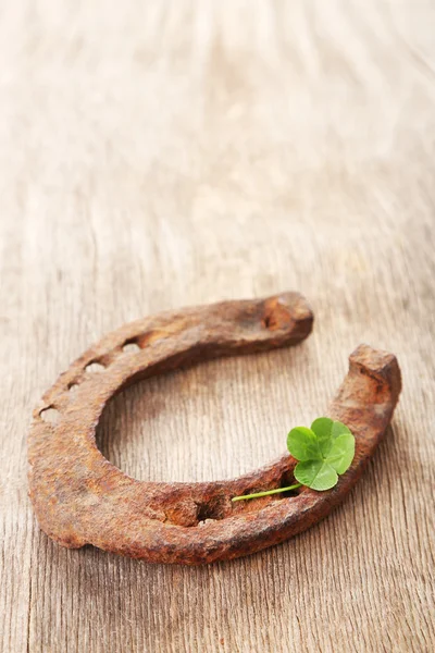 Old horse shoe — Stock Photo, Image