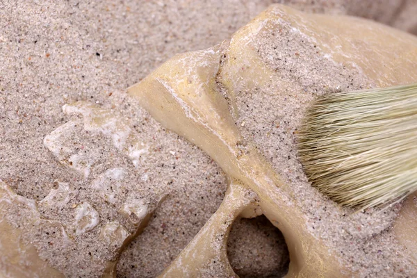 Crâne humain dans le sable — Photo