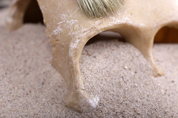 Menschlicher Schädel im Sand — Stockfoto