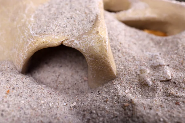 Lidská lebka v písku — Stock fotografie