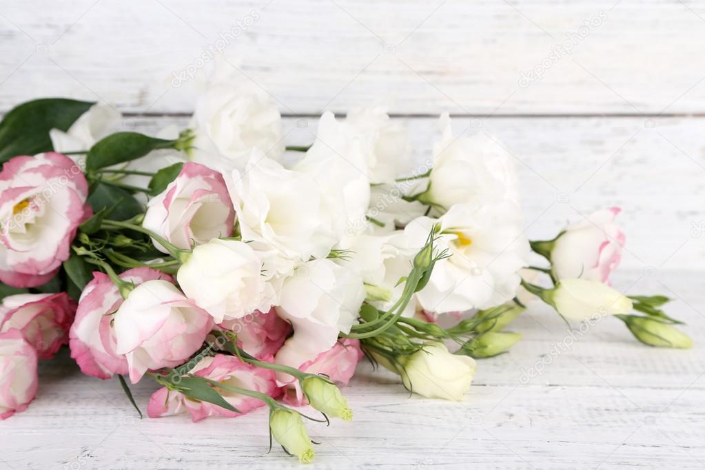 Beautiful eustoma flowers