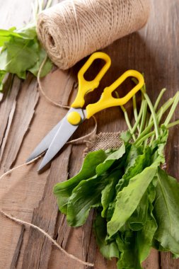 Kuzukulağı tablo yakın çekim üzerinde