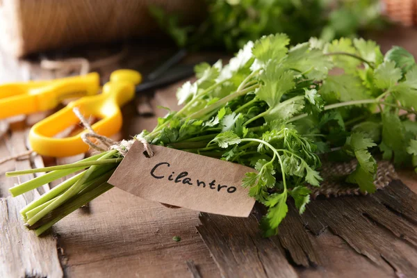 Cilantro on table close-up — Stock Photo, Image