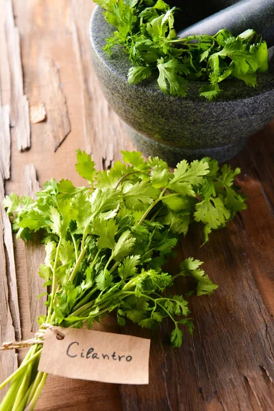 Cilantro on table close-up — Stock Photo, Image