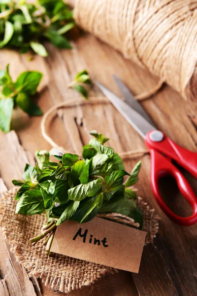 Mint on table close-up — Stock Photo, Image