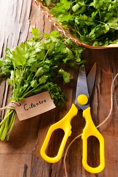 Cilantro en primer plano de la mesa —  Fotos de Stock