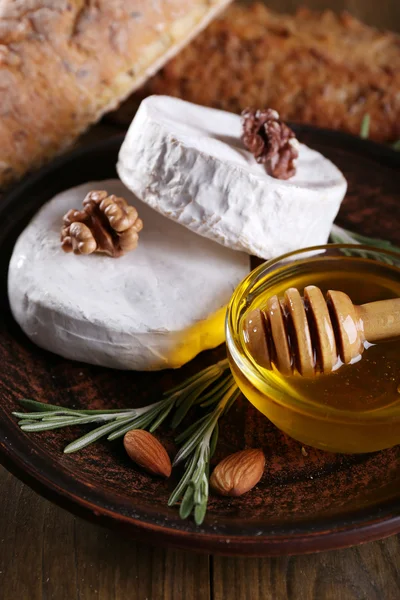 Queijo camembert no prato — Fotografia de Stock