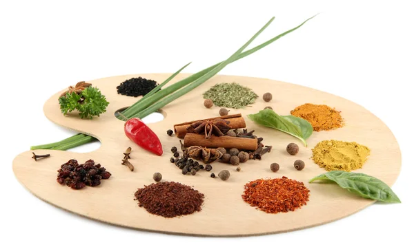 Painting palette with various spices — Stock Photo, Image