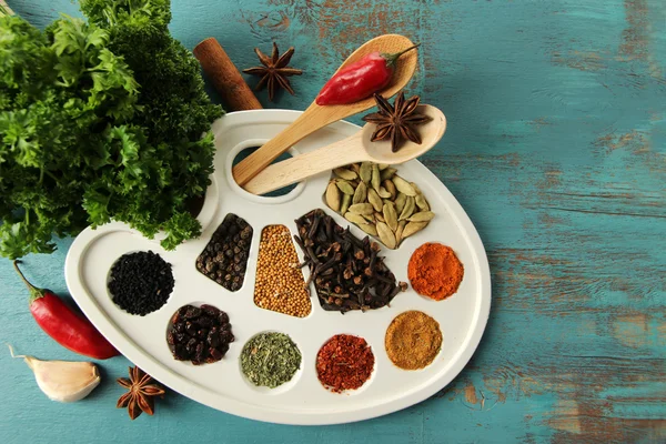 Painting palette with various spices — Stock Photo, Image