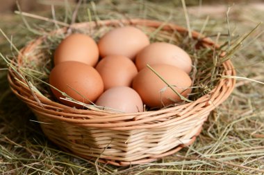 hasır sepet yumurta