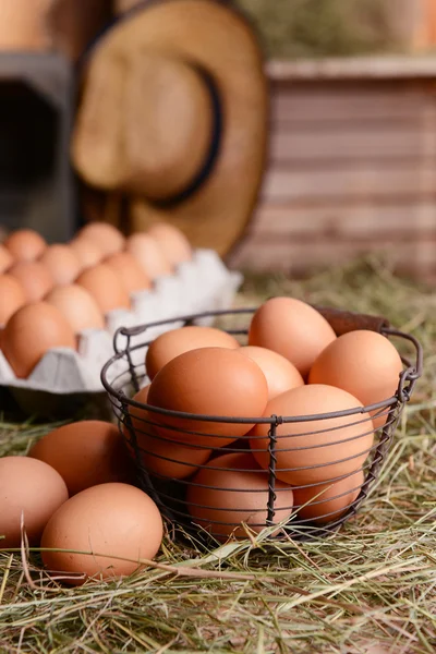 Ovos em cesta de vime — Fotografia de Stock