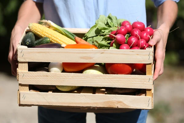 Verdure biologiche fresche in scatola di legno in mano all'aperto — Foto Stock