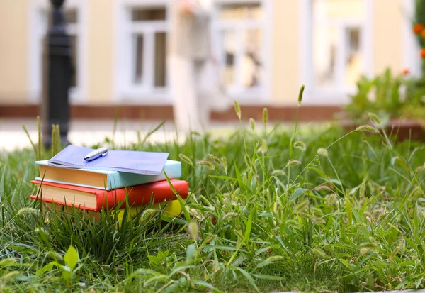 Livres empilés dans l'herbe — Photo