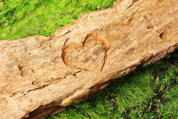 Сердце, вырезанное на коре дерева — стоковое фото