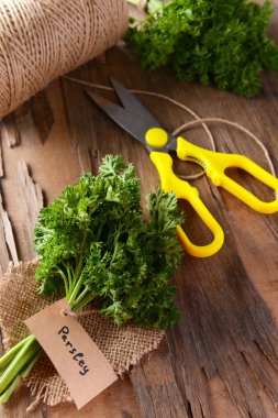 maydanoz üzerinde tablo yakın çekim