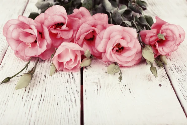Beautiful eustoma flowers — Stock Photo, Image