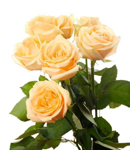 Bukiet pięknych róż — Zdjęcie stockowe