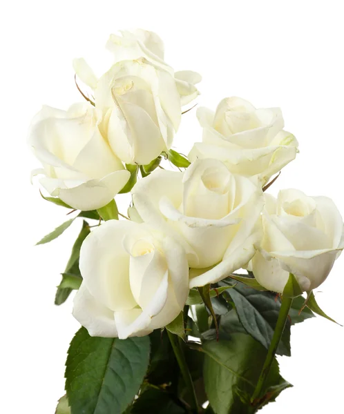 Strauß schöner Rosen — Stockfoto