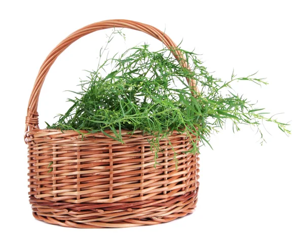 Basket of herbs on white — Stock Photo, Image