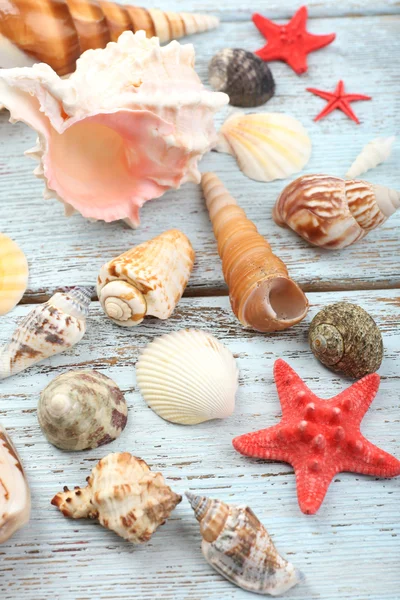 Seashells on wooden table — Stock Photo, Image